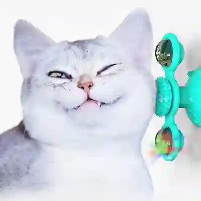 Image Alternative Text