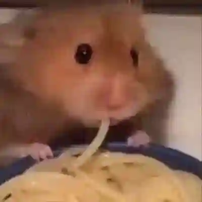 Image Alternative Text