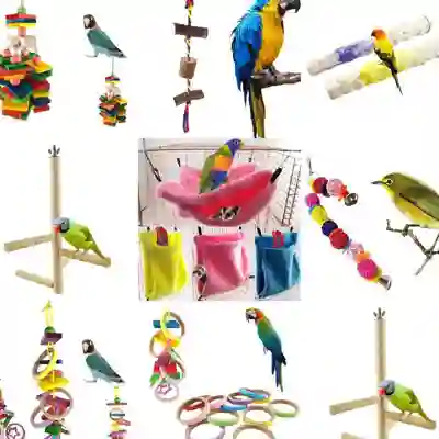 Image Alternative Text