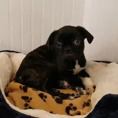 default-image-alt-text