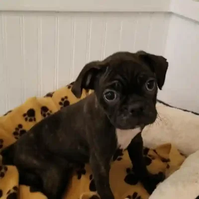 default-image-alt-text