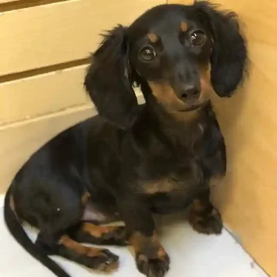 default-image-alt-text