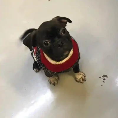 default-image-alt-text