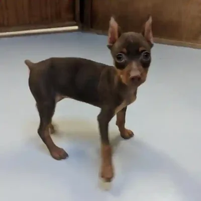 default-image-alt-text