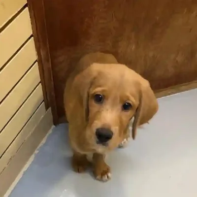 default-image-alt-text